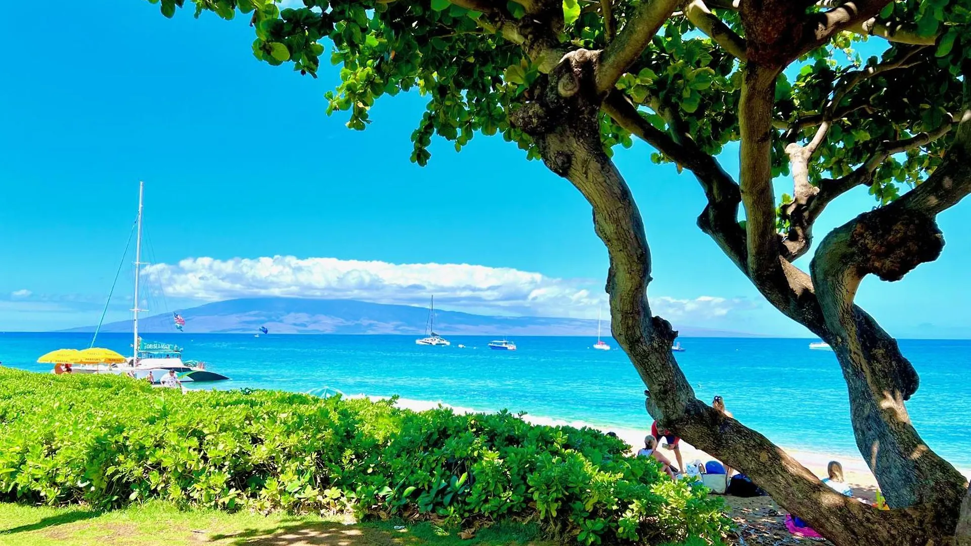 Kaanapali'S Royal Luxury Plantation Beach & Golf Retreat United States